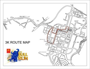 PSE Bull Run 2014 3K Race Map