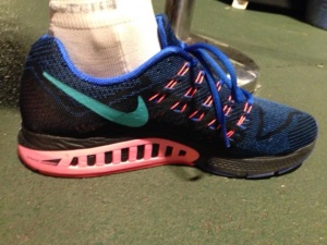 Nike Air Zoom Structure 18 Review
