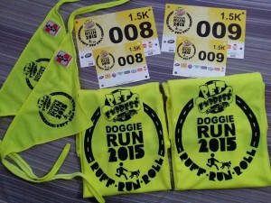 Pet Express Doggie Run 2015 Kit