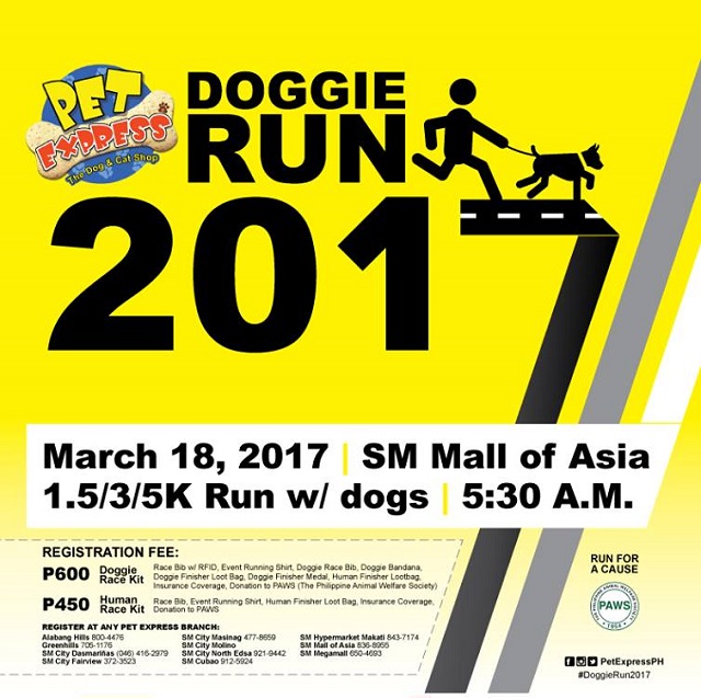 Pet Express Doggie Run 2017