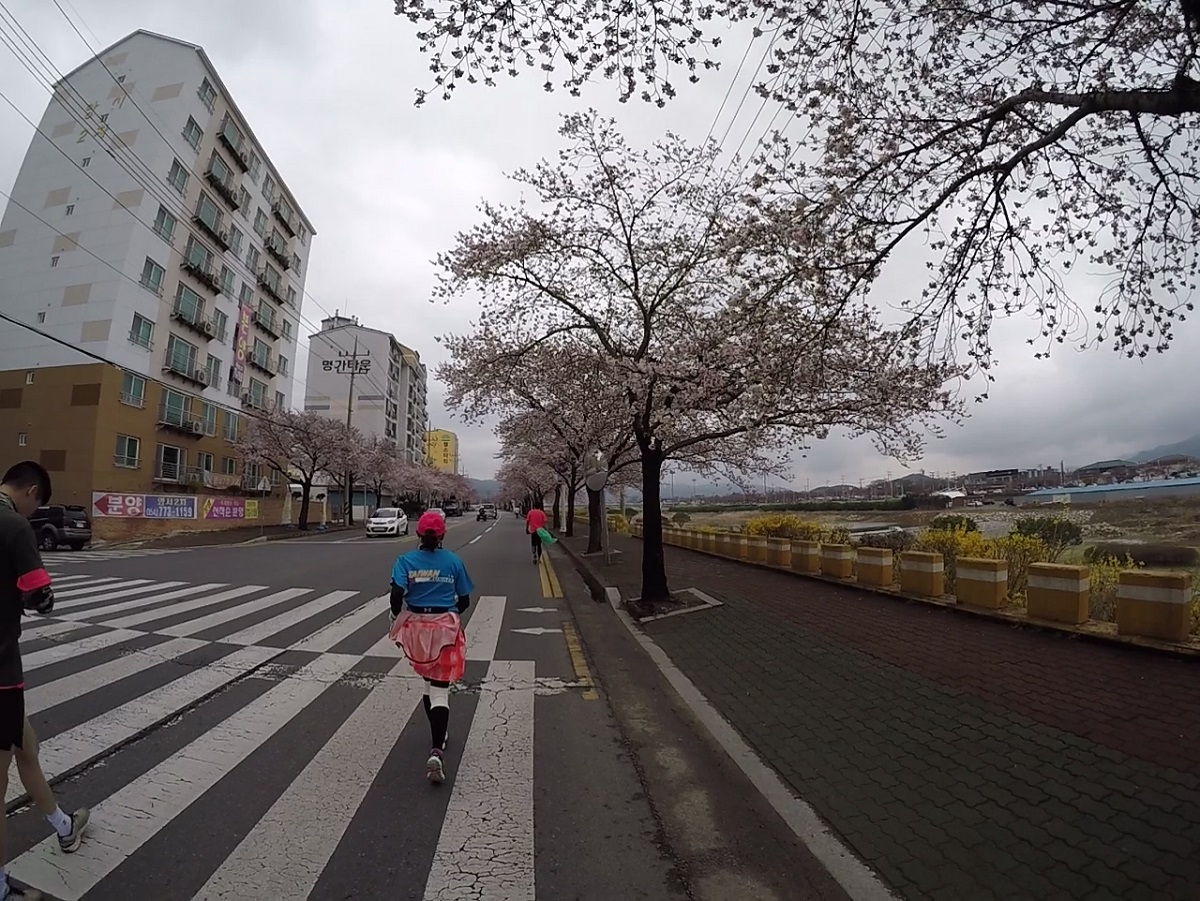 Gyeongju Cherry Blossom Marathon Race Recap Takbo.ph