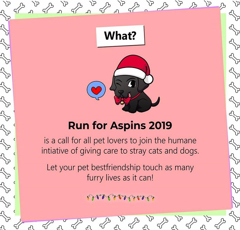 Run for Aspins 2019 Poster